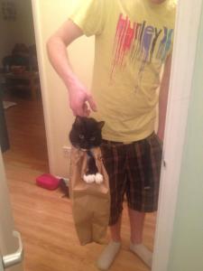 For perspective, here is Mr S holding Keef the Cat in a Primark bag.